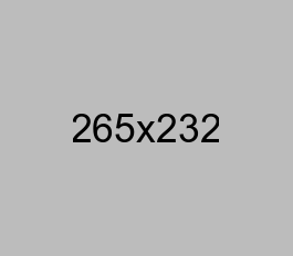 logo_not_found